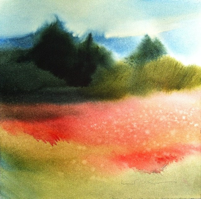 What I Saw & What I Made: Poppy Field