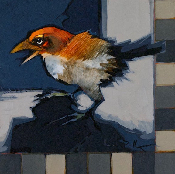 little orange sparrow bird and checkerboard border. original small acrylic painting by Canadian artist linda Kemp